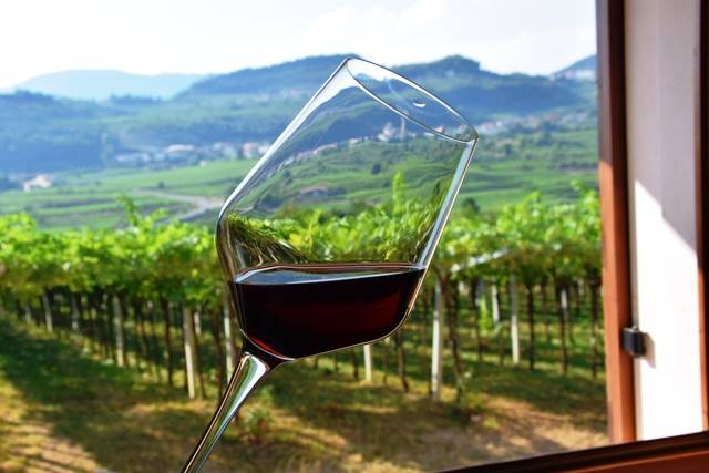 Amarone Valpolicella